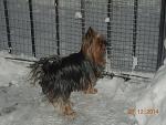     
: DSCN2388.jpg
: 14
:	136.3 
ID:	9224439
