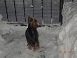     
: DSCN2386.jpg
: 13
:	122.6 
ID:	9224440
