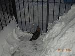     
: DSCN2387.jpg
: 14
:	121.2 
ID:	9224441