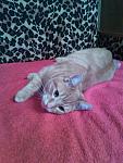     
: IMG_20141115_121120.jpg
: 21
:	122.8 
ID:	9225119