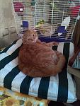     
: IMG_20141024_184025.jpg
: 23
:	114.1 
ID:	9225120
