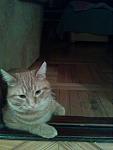     
: IMG_20141210_185450.jpg
: 22
:	81.3 
ID:	9225121
