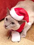     
: 10858358_10203477067034415_7168307974822529292_n.jpg
: 10
:	101.0 
ID:	9227885