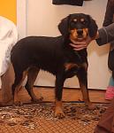     
: IMG_2567.jpg
: 11
:	83.4 
ID:	9228907