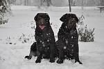     
: 10883946_766549346733214_1358566387_o.jpg
: 10
:	97.3 
ID:	9229287