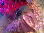     
: image.jpg
: 74
:	133.6 
ID:	9231306