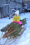     
: DSC_1464.jpg
: 121
:	118.2 
ID:	9231462