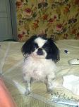     
: IMG_0776.jpg
: 3
:	105.4 
ID:	9235830