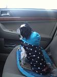     
: IMG_0632.jpg
: 4
:	73.1 
ID:	9235832