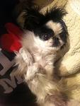     
: IMG_0803.JPG
: 4
:	118.1 
ID:	9235833