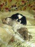     
: IMG_0723.jpg
: 4
:	129.8 
ID:	9235834
