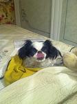     
: IMG_0536.jpg
: 4
:	93.2 
ID:	9235835