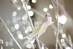     
: IMG_9972.jpg
: 31
:	114.2 
ID:	9240615