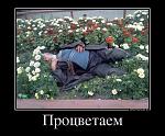     
: 45264084_petrovich-rastsvel.jpg
: 18
:	137.0 
ID:	9241579