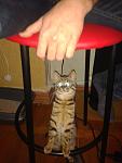     
: 2015-01-04 19.13.11.jpg
: 18
:	60.7 
ID:	9242094