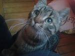     
: 2015-01-06 14.47.06.jpg
: 16
:	82.5 
ID:	9243183