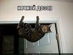     
: nochnoy-dozor_1344177949.jpg
: 6
:	25.0 
ID:	9243643