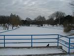     
: IMG_0136.jpg
: 18
:	120.8 
ID:	9244548