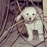     
: O_Jh4ytZoQA.jpg
: 51
:	86.1 
ID:	9245124