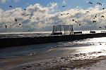     
: IMG_2080.jpg
: 43
:	173.9 
ID:	9245563
