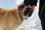     
: IMG_9445.jpg
: 57
:	89.4 
ID:	9245782