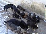     
: Gz7l1qAkDAo.jpg
: 30
:	127.6 
ID:	9246304