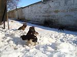     
: l_tcDWbN4T4.jpg
: 28
:	114.4 
ID:	9246306
