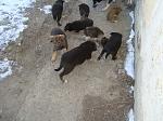     
: TAMDNBSB5Q0.jpg
: 29
:	122.8 
ID:	9246309