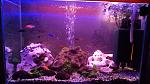     
: IMG_20150102_184932391.jpg
: 27
:	138.8 
ID:	9249548