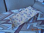     
: DSC00361.jpg
: 22
:	228.1 
ID:	9252793