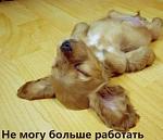     
: Эзотерика 2.jpg
: 63
:	26.5 
ID:	9254500