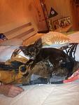     
: Share2014-12-28-5ac4ea7423805c269184101d132578544d331e7551f294eb0d826692b71d85cf-Picture.jpg
: 14
:	96.4 
ID:	9254564