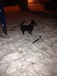     
: Share2014-12-28-2f2f46b49cd18dc51c63950ae652aa8319d204383d90b0c1aa1f2d0c4c258b00-Picture.jpg
: 13
:	69.6 
ID:	9254565