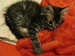     
: DSC03380.jpg
: 9
:	125.7 
ID:	9255835