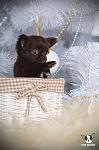     
: DSC_0299.jpg
: 37
:	75.9 
ID:	9256557