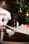     
: DSC_0368.jpg
: 42
:	77.5 
ID:	9256558