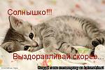     
: f6acc11cdcb4ab118eec19b9875c4eeb.jpg
: 17
:	96.2 
ID:	9259124