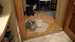     
: IMAG2587.jpg
: 35
:	97.7 
ID:	9262697
