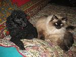     
: IMG_0170.jpg
: 10
:	196.1 
ID:	9264003