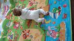     
: 20150113_142254.jpg
: 83
:	150.5 
ID:	9264383