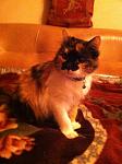     
: 10866755_776287185793341_2014302964_n.jpg
: 8
:	152.9 
ID:	9266362