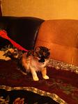     
: 10884773_776287109126682_786843380_n.jpg
: 9
:	161.6 
ID:	9266367