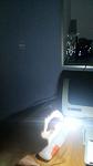     
: RRhVPca9byM.jpg
: 20
:	77.7 
ID:	9266654