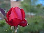     
: P1220169.jpg
: 5
:	69.4 
ID:	9266883