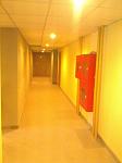    
: IMG_20150114_1236541.jpg
: 10
:	79.5 
ID:	9268370
