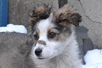     
: Ip8-AMRDRv0.jpg
: 36
:	138.8 
ID:	9271121