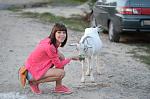     
: DSC_2509.jpg
: 56
:	101.8 
ID:	9271810
