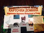     
: 354445_20150115025357_2551_600x600.jpg
: 36
:	53.9 
ID:	9272815