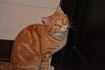     
: DSC_0043.jpg
: 23
:	74.8 
ID:	9273279