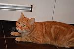     
: DSC_0042.jpg
: 17
:	101.1 
ID:	9273280